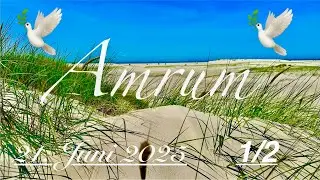 Insel Amrum 💞 Sommer Sonnenwende Tag 🥰 Teil 1/2