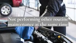 Chihuahua Tire Shop Inc - Elgin  Oil Change tips!