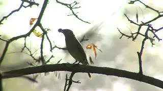 Moment in Wisconsin: Jackson Marsh Wildlife Area