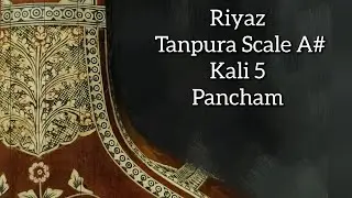 Tanpura | Scale A# | Kali 5 | Pancham