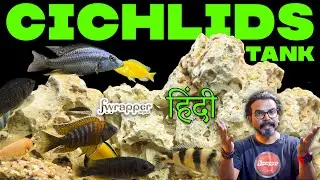 Cichlid Tank Setup Guide in HINDI : Beginner's Aquarium Tutorial