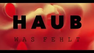 HA UB - WAS FEHLT