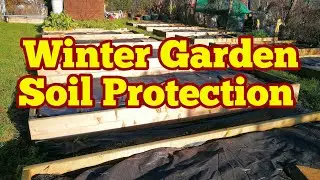 Winter Garden Soil Protection / Cover vs Green Manure/ No Dig Organic Allotment Kitchen Garden