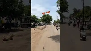 #pimpalner