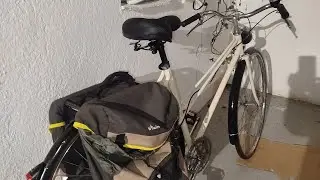Actualización del estado de La Dama 