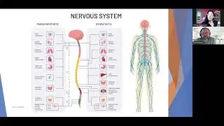 Recruiters Skills UP for Functional Disorders (FDs) & Functional Neurological Disorders (FNDs)