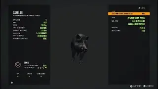 The hunter call of the wild compilation de rare et diamant
