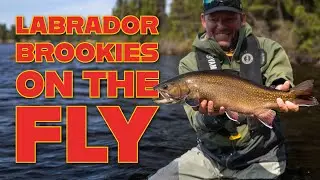 Big Labrador Brook Trout On The Fly
