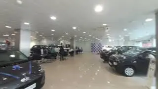 Gallops Hyundai Panjrapole