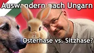 Auswandern nach Ungarn - Osterhase vs. Sitzhase?