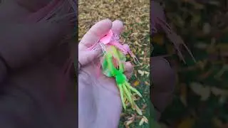p&ecirc;che avec Aliexpress