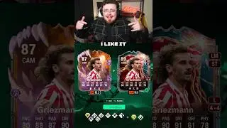 The BEST Picks for The Crowned Maestro Evolution!! 👑