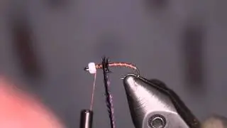 Double Digit Midge