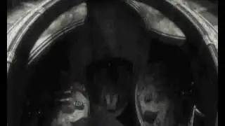 My Solid Ground - The Executioner