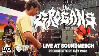 THE GROGANS - LAY BACK (LIVE) | Record Store Day 2025 | Up