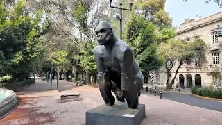 Walking Through Roma Norte at Noon | Mexico City Neighborhood Walk 🇲🇽