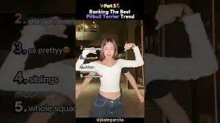 Ranking The Best PITBULL TERRIER Dance Trend ✨(Part 3) #tiktokviral
