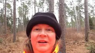 Hiking Chengwatana State Forest 14