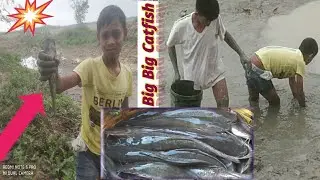 Village Boy Catch Big Catfish l Very wonderful Video@catfish-world