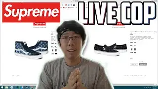 SUPREME VANS LIVE COP! (Supreme SS20 Week 19 Manual Checkout)