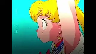 xd