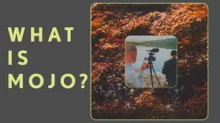 Mojo Part 3: What Is Mojo? || Fly Fishing in Northern Scandinavia