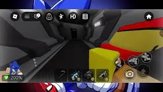 Sanic Chase(Facility Mobile)