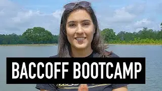 BaccOff Quit Dipping Bootcamp