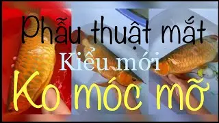 Lỗi xệ mắt cá rồng và những ngộ nhận sai lầm của người chơi.
