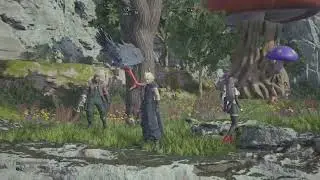 FINAL FANTASY VII bug.(chocobo tree)