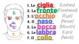 Italian public transport phrases | Get around easy | Real-life practice | Learn italian free lessons