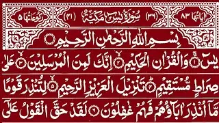 Surah Yaseen❤️Surah Yasin❤️Surah Rahman❤️Surah mulk❤️ Surah Muzammil❤️Surah Kahf❤️Yasin Quran❤️ 264