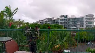 kak op balkon