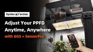 GGS Controller + Light + SensorPro | PPFD Dimming & Smart Grow Tutorial | Spider Farmer