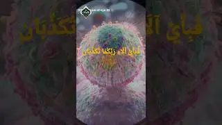Human Eye at 1000x Zoom &ndash; Allah&rsquo;s Amazing Creation! #shorts