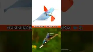 Hummingbird mechanism 🐦👩&zwj;🔧😂 #3danimation #animation #engineering #mechanical #3d 🔥