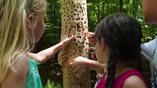 Summer Nature Day Camp at Kortright Centre for Conservation