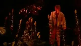 Ellen's Energy Adventure Ellen DeGeneres Audio Animatronic Figure #2
