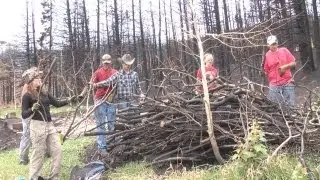 Scouts return to rebuild after East Peak Fire