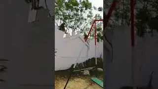 monkey ke sath enjoy