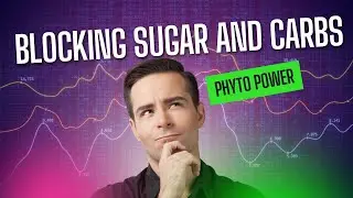 Blocking Sugar and Carbs I Discover the Power of Phyto Power B Love Biome