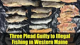 Three Plead Guilty to Illegal Fishing in Western Maine