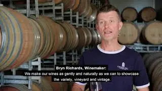 It All Starts With Grapes with Subtitles