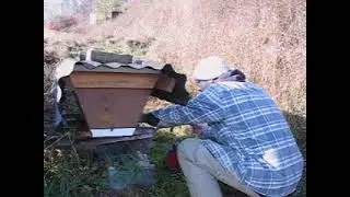 Ein Clip von 2008, die ersten Versuche Oxals&auml;ure zu verdampfen mit Blasebalg #varroa #imker #diy