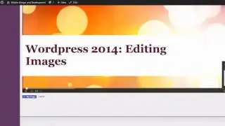 Wordpress 2014: Portfolio plugin