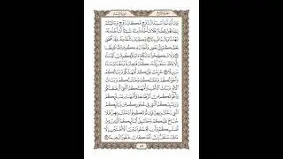 الوجه 81 من القرآن مكرر ١٠ مرات مع الآيات لتسهيل الحفظ | سورة النساء | الشيخ خليفة الطنيجي