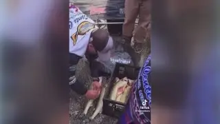 2 fishermen caught cheating at Ohio tournament plead guilty