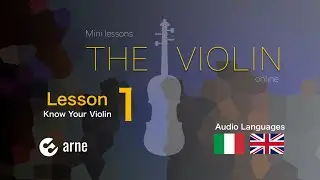 Lezioni di violino online No 1 - conosciamo il violino - IMPARIAMO IL VIOLINO IN 5 MINUTI - ARNE