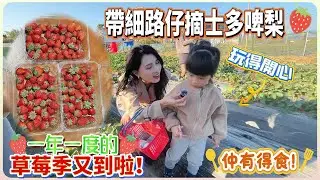 草莓季又到啦！【草莓園】親子好去處 | 玩得開心仲有得食！三款草莓一個價#惠州 #大亞灣 #水果 #草莓季 #草莓 #親子活動#星河丹堤 #惠陽 #美食 #惠州美食 