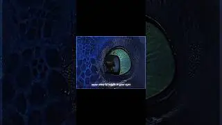 &bull; 𝐓𝐨𝐨𝐭𝐡𝐥𝐞𝐬𝐬 & 𝐙𝐞𝐩𝐡𝐲𝐫 &bull;